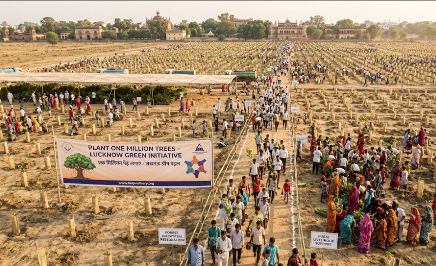 Plant One Million Trees